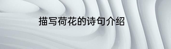 描写荷花的诗句介绍