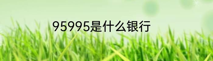95995是什么银行