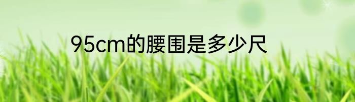 95cm的腰围是多少尺