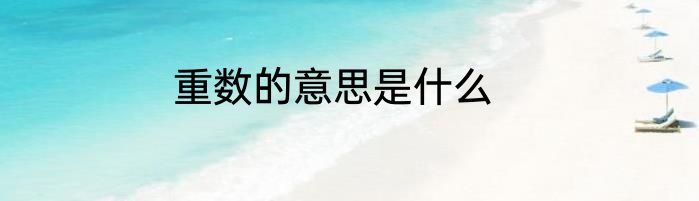 重数的意思是什么