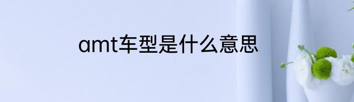 amt车型是什么意思