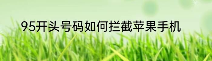 95开头号码如何拦截苹果手机