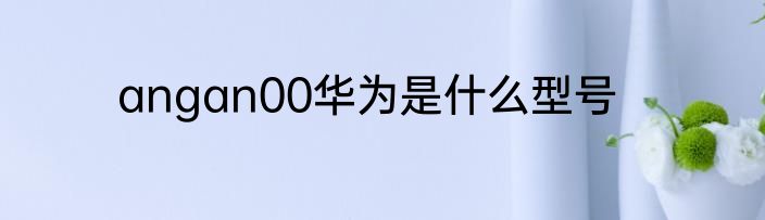 angan00华为是什么型号