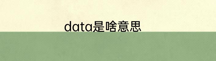 data是啥意思