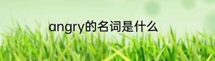 angry的名词是什么