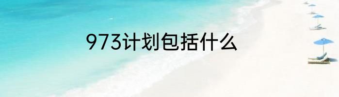 973计划包括什么