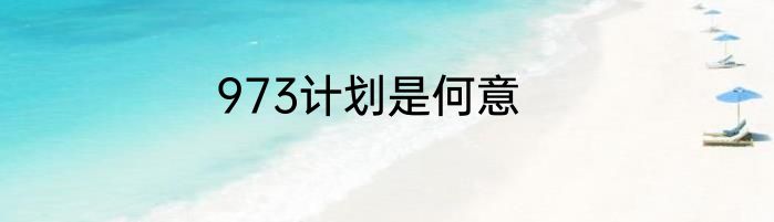 973计划是何意