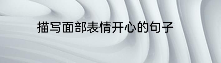 描写面部表情开心的句子