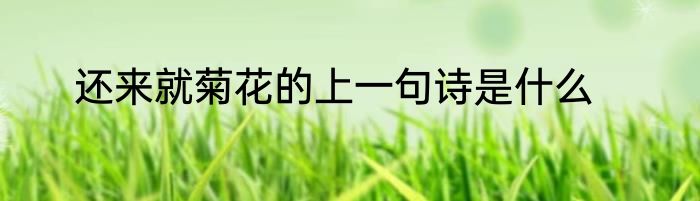 还来就菊花的上一句诗是什么