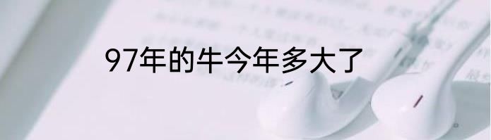 97年的牛今年多大了