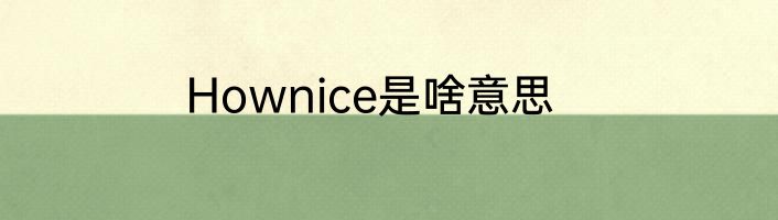 Hownice是啥意思