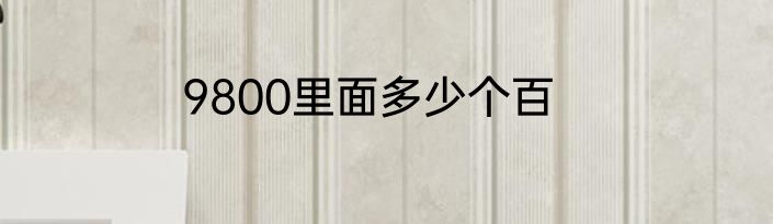 9800里面多少个百