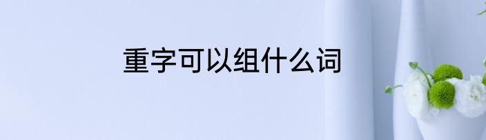 重字可以组什么词