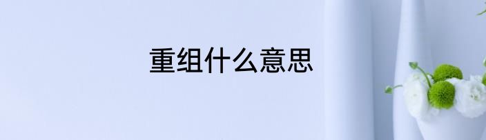 重组什么意思
