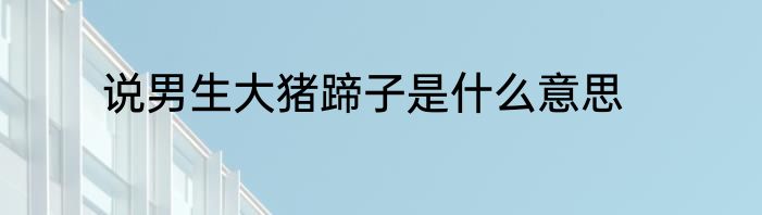 说男生大猪蹄子是什么意思