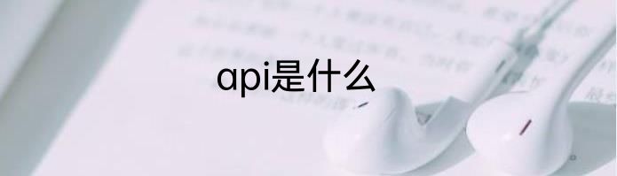 api是什么
