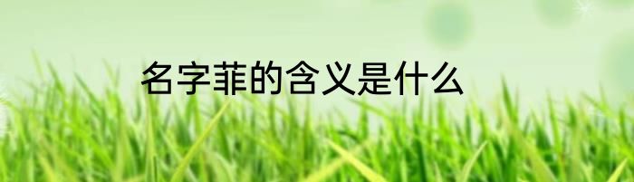 名字菲的含义是什么