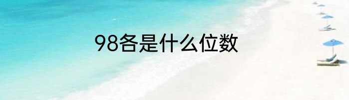 98各是什么位数