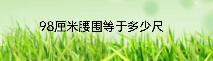 98厘米腰围等于多少尺