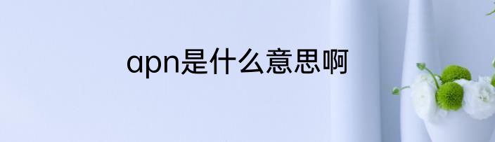 apn是什么意思啊