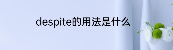 despite的用法是什么