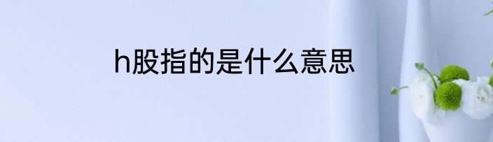 h股指的是什么意思