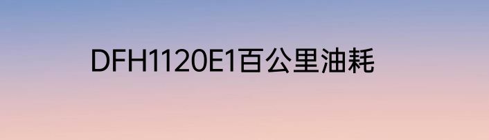 DFH1120E1百公里油耗