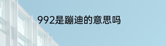 992是蹦迪的意思吗
