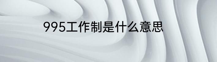 995工作制是什么意思