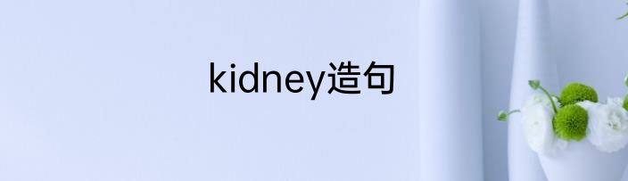kidney造句