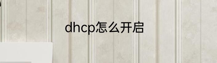 dhcp怎么开启