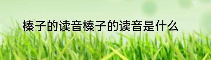 榛子的读音榛子的读音是什么