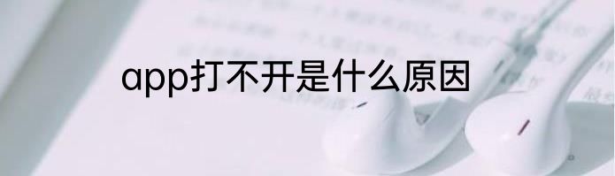 app打不开是什么原因
