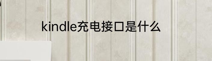 kindle充电接口是什么