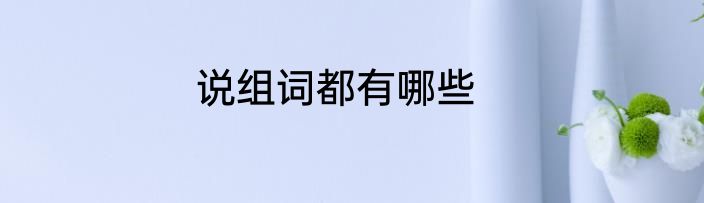 说组词都有哪些