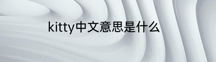 kitty中文意思是什么