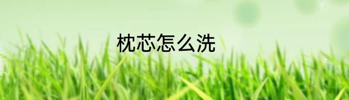 枕芯怎么洗