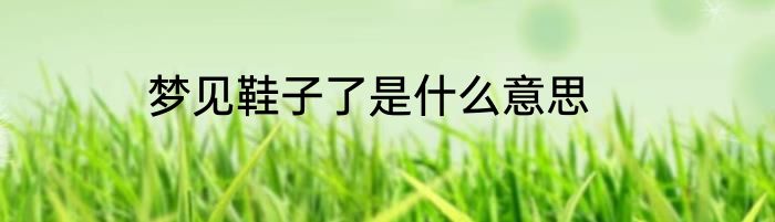 梦见鞋子了是什么意思
