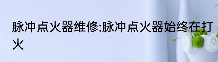 脉冲点火器维修:脉冲点火器始终在打火