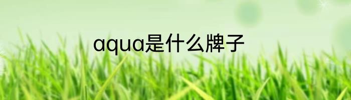 aqua是什么牌子