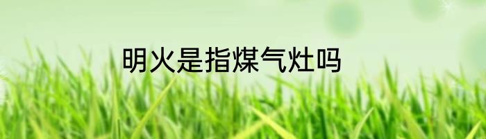 明火是指煤气灶吗