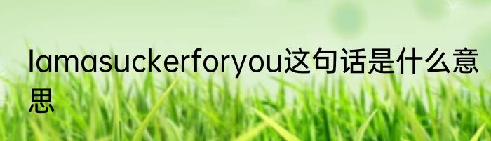Iamasuckerforyou这句话是什么意思
