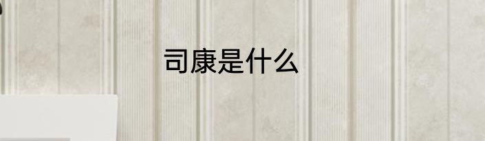 司康是什么