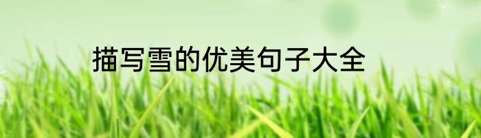描写雪的优美句子大全