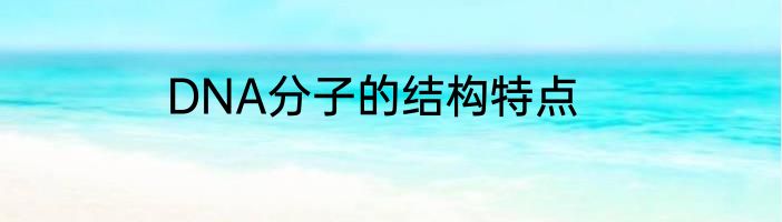 DNA分子的结构特点