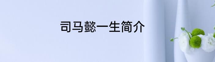 司马懿一生简介