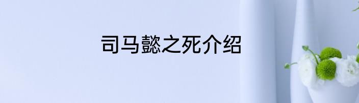 司马懿之死介绍