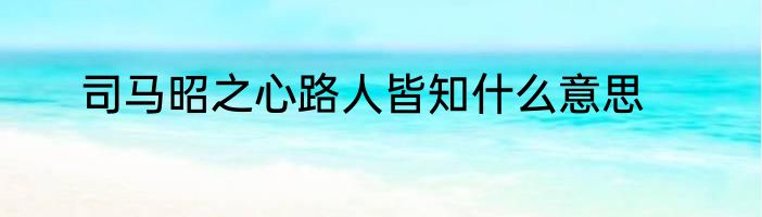 司马昭之心路人皆知什么意思
