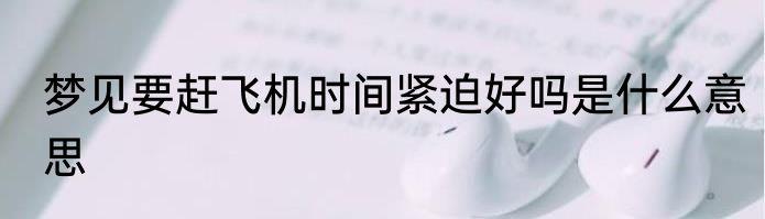 梦见要赶飞机时间紧迫好吗是什么意思