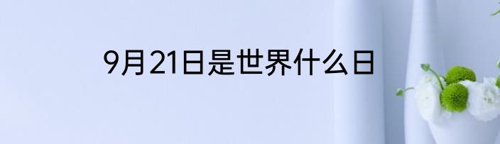 9月21日是世界什么日